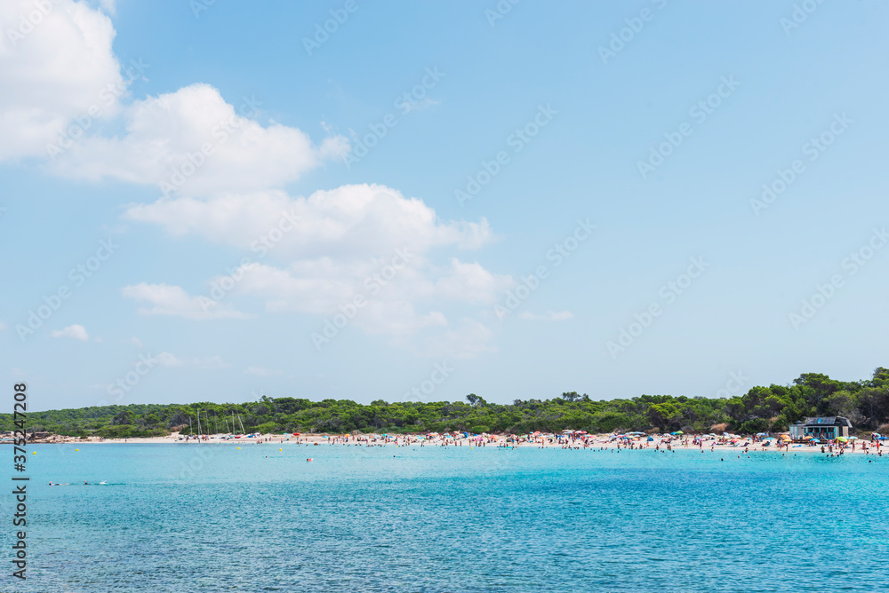 Maritime beach landscape in Majorca. Horizon with sea shore, people swimming and vegetation behind with blue sky. Minimalist composition