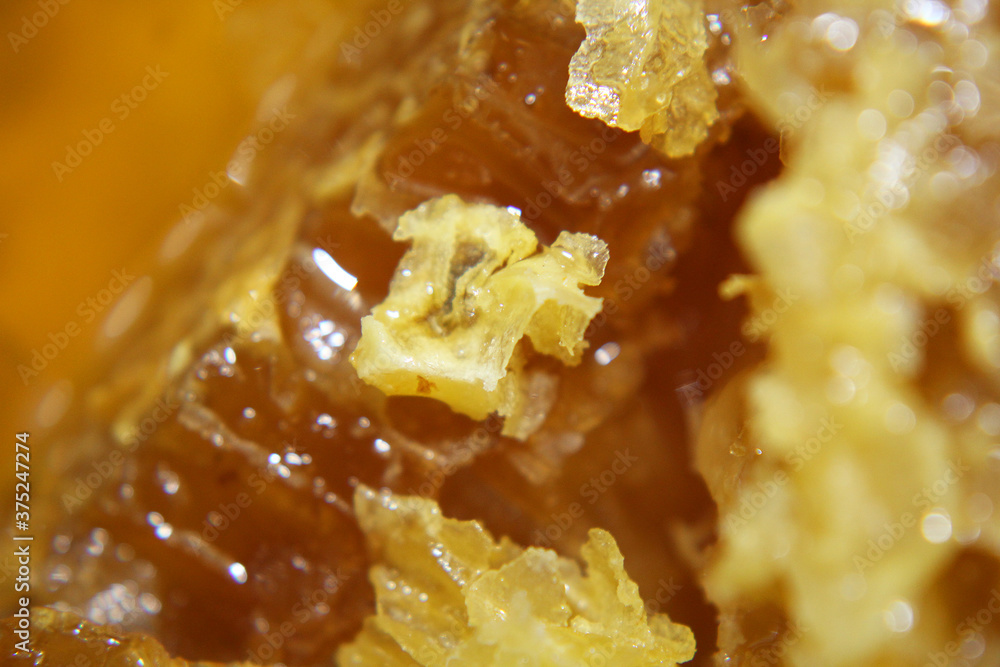 Fresh farm honey and honeycomb close-up. Fresh farm honey and honeycomb close-up.