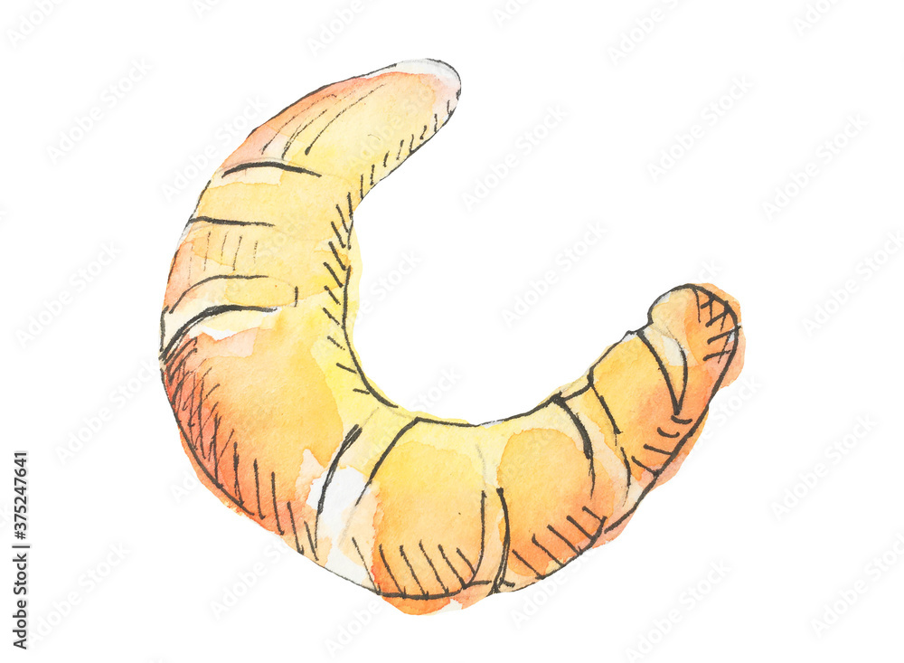 Fototapeta premium a croissant, a watercolor drawing