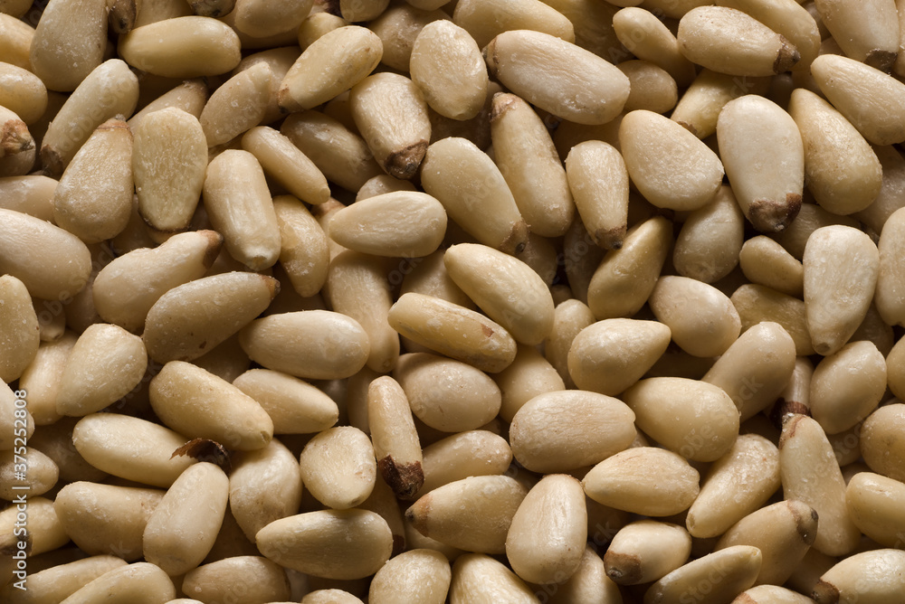 Frische Pinienkerne Pinie Pignole Pinienkern Hintergrund Frische Pinienkerne Pinie Pignole Pinienkern Hintergrund