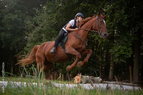 Mädchen springt mit Pferd ein Naturhindernis