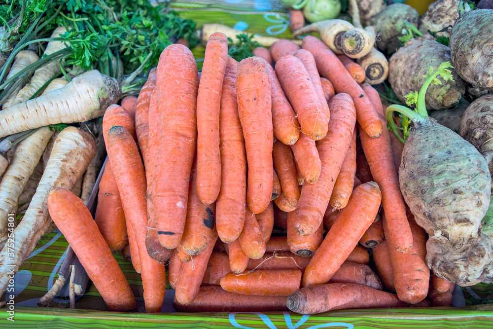 Carrots, parsnips and celery on the market Carrots, parsnips and celery on the market