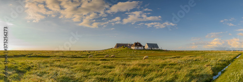 Picturesque village and unique natural landscape of the North Sea Coast on small island of the coast 