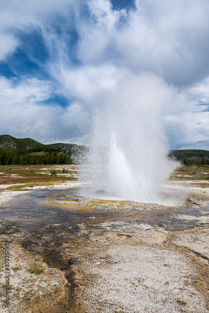 Active Geyser in Biscuit Basin, Yellowstone Park Active Geyser in Biscuit Basin, Yellowstone Park