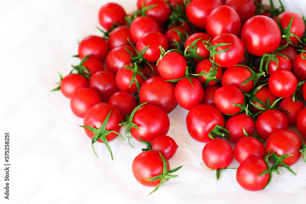 Cherry tomatoes on white background, fresh red organic tomatoes. Tomato harvest