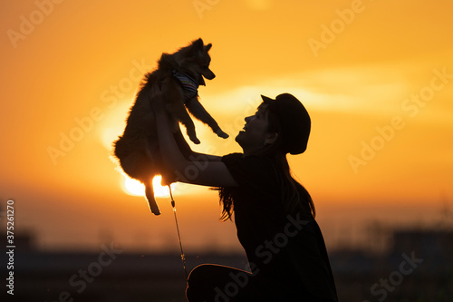 夕日と抱っこされる犬
