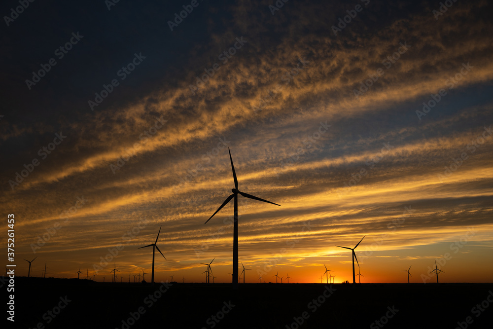 Fototapeta premium Sunset behind a field of wind turbines
