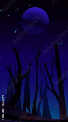 Fondo bosque nocturno de fantasía