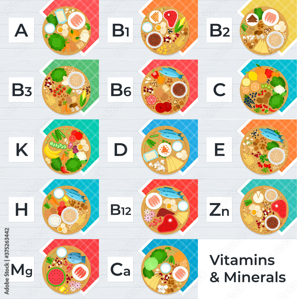 Image with vitamins and minerals that different foods contain vector flat icon isolated
