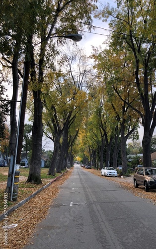 road in autumn © Jason SH Park