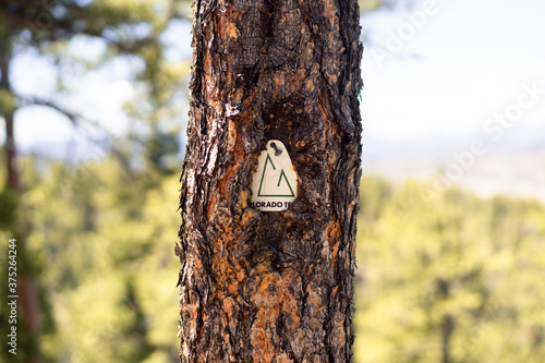 Photography Colorado Trail trail marker on Pine Tree