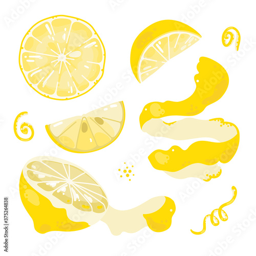 Set of slices of lemon on isolated background. Lemons and zest. Vector illustration