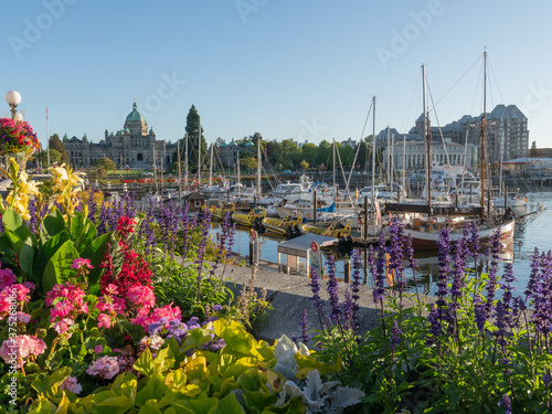 Victoria Harbour with colourful flowers in the foreground and the the legislative Assembly in the background on a late sunny day afternoon in the summer