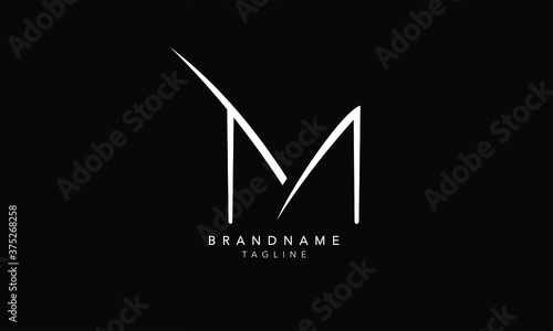 Alphabet letters Initials Monogram logo TM, MT, T and M