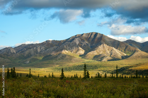Alaskan mountain range landscape near valley and trees