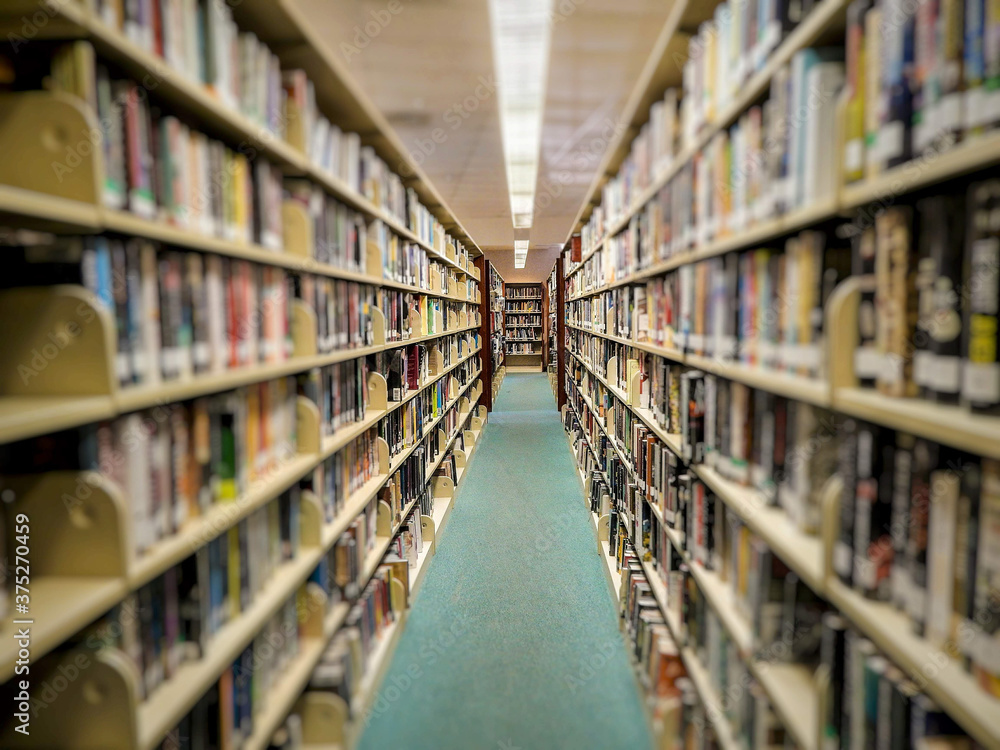 Row Of Many Books In A Library Row Of Many Books In A Library
