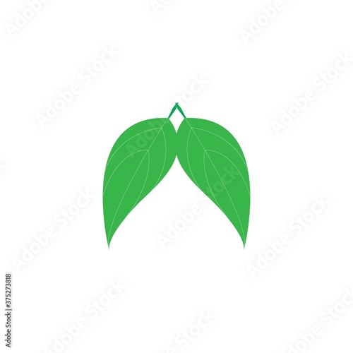 leafe logo
