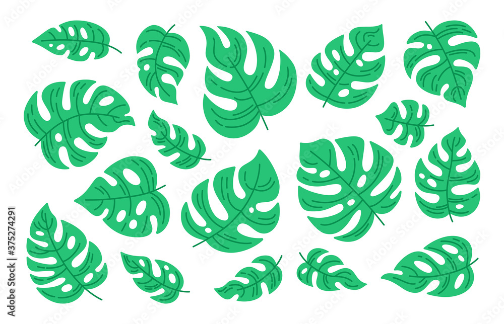 Monstera leaf cartoon set. Tropical green plant collection. Hand drawn nature exotic elements jungle. Flat vector Isolated illustration