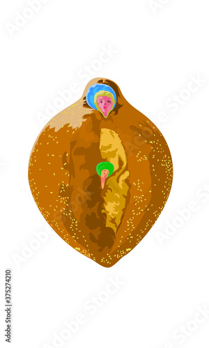 Pan de muerto de región Oaxaca