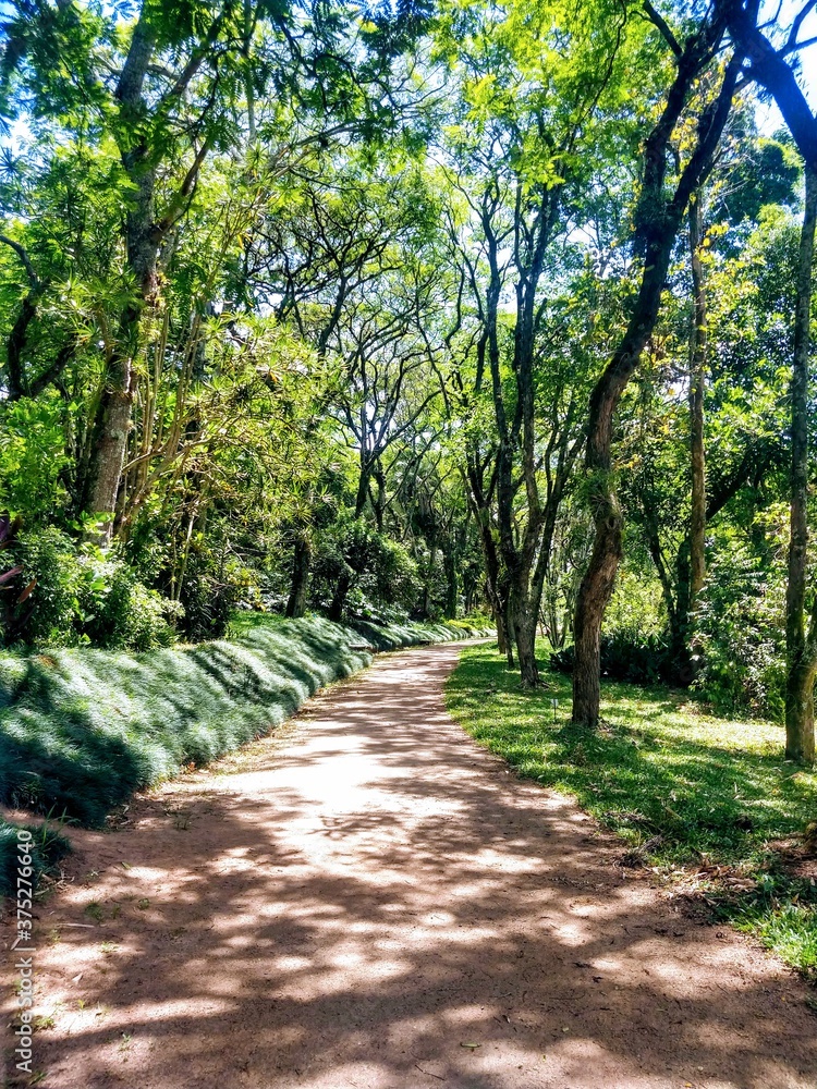 path in the park