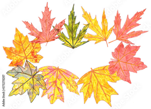 frame of autumn yellow orange green maple leaves on a white background  graphic drawing  copy space
