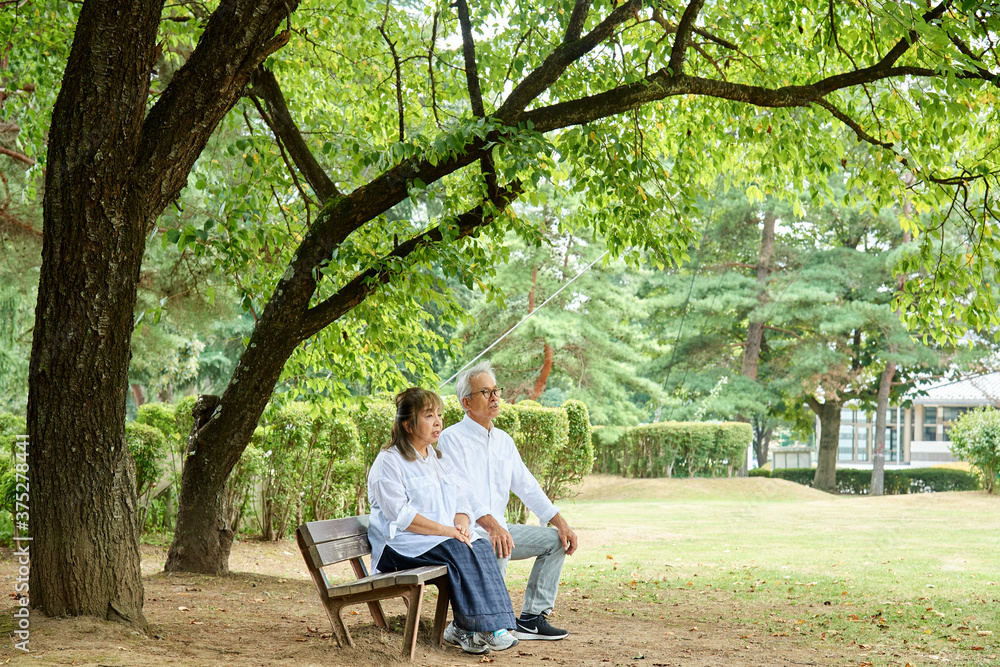 公園の木の下のベンチに座るシニア男性とシニア女性の老夫婦　緑バック