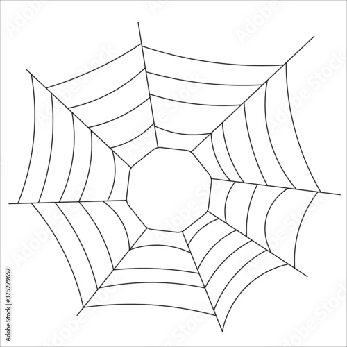 spider web vector