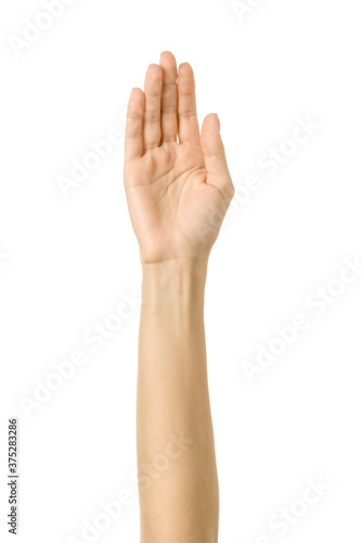 Raised hand voting or reaching. Woman hand gesturing isolated on white © Iurii