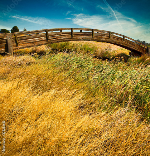 Martinez CA Regional Shoreline Park bridges and walkways