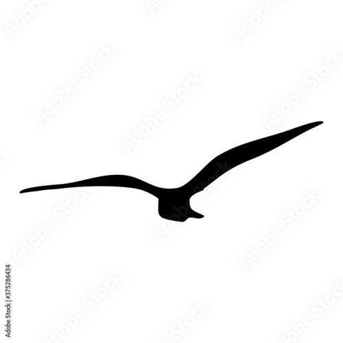 Silhouette of flying Bird isolate on white background. for web and mobile vector illustration