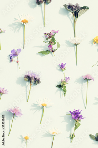 Creative layout made of summer field flowers. Nature background