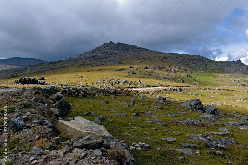 alpine meadows on the South Job mountain