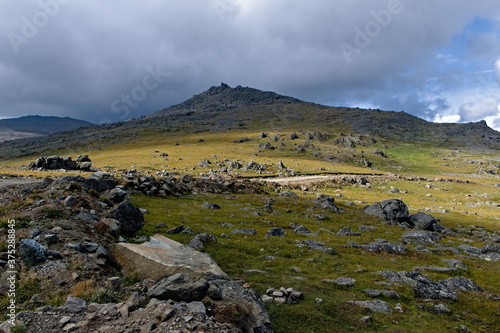 alpine meadows on the South Job mountain