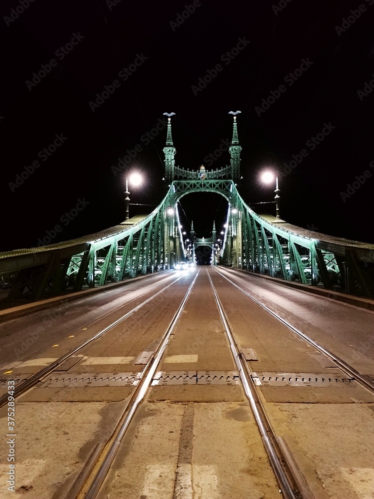 Obraz premium Panoramic view of Elisabeth Bridge in Budapest in Hungary in the night. Elisabeth Bridge is the bridge of Budapest, connecting Buda and Pest across the River Danube.