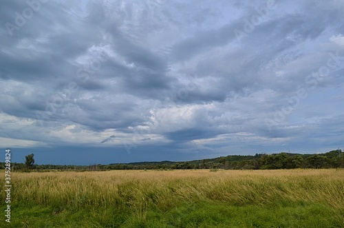 green grass and blue sky, sky, landscape, field, grass, nature,