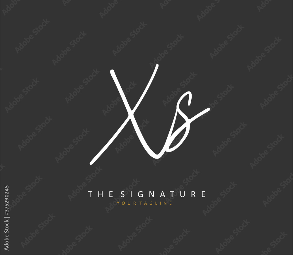 X S XS Initial letter handwriting and signature logo. A concept handwriting initial logo with template element.