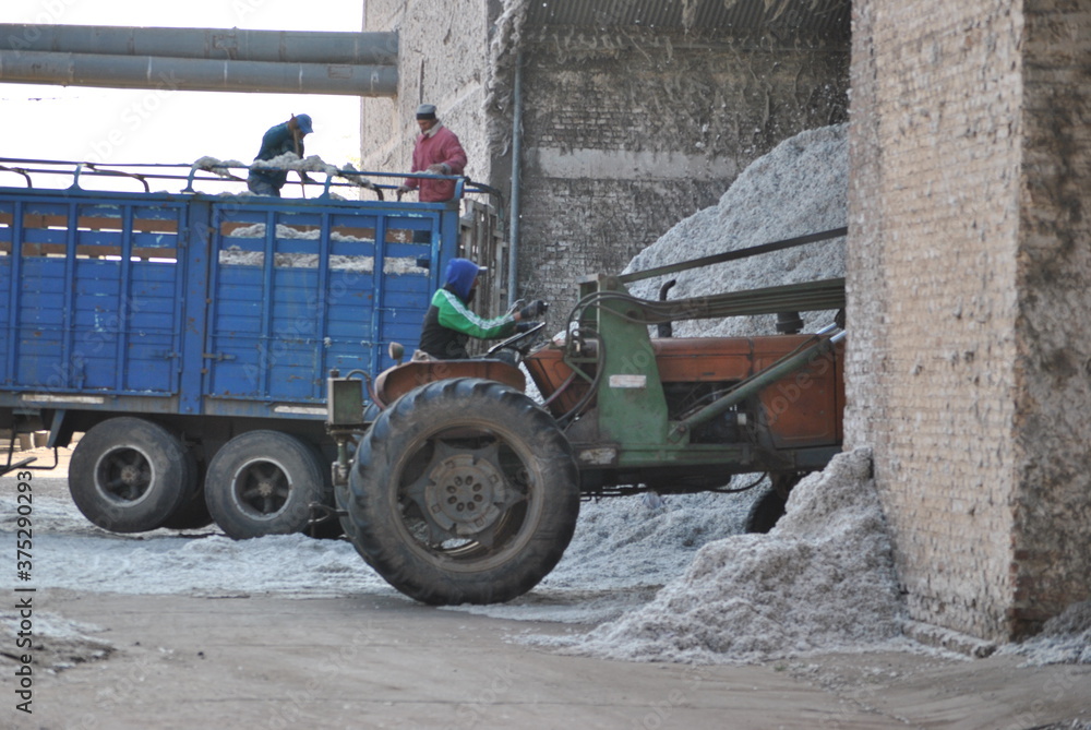 Obraz premium Go Truck