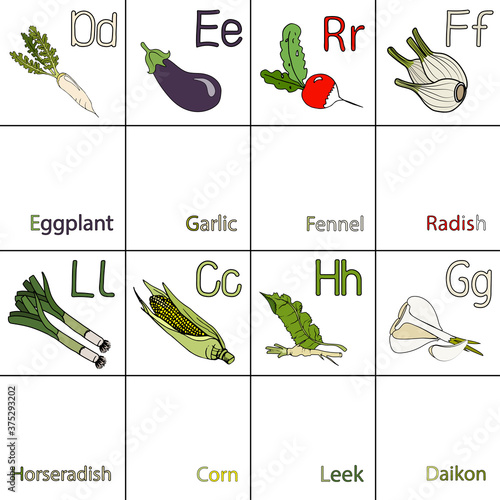 Cet with cartoon vegetables, names of vegetables capital letters visual aid for foreign language teachers teaching children alphabet. Radish, garlic, eggplant, daikon, leek, fennel, horseradish root