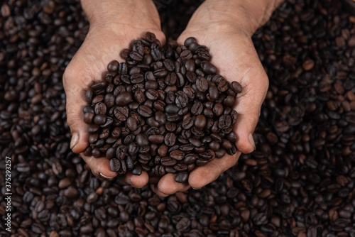 Hands are holding coffee beans. Farm Agricultural products from hill tribe.