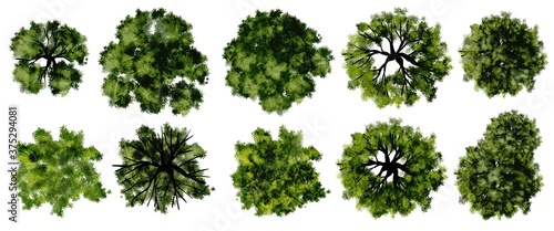 Set of watercolor tree top view for landscape plan and architecture layout 