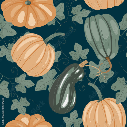 pattern with pumpkins on a dark background. autumn vegetables. print for fabric. poster for design of things and clothes.