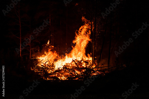 Big flames of forest fires at night. Intense flames from a massive forest fire