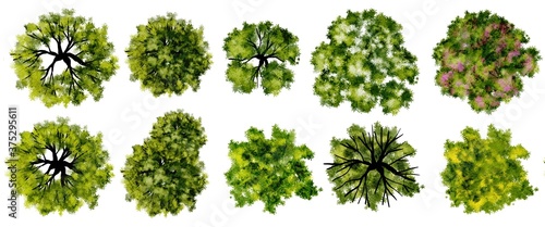 Set of watercolor tree top view for landscape plan and architecture layout  © Chanya_B