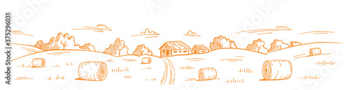 Mown straw grass. Rural landscape. Village field road. Hand drawn sketch. Countryside. Contour vector line. Horizontal banner background.