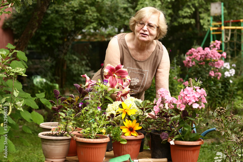 beautiful pensioner woman florist take care of pot plants