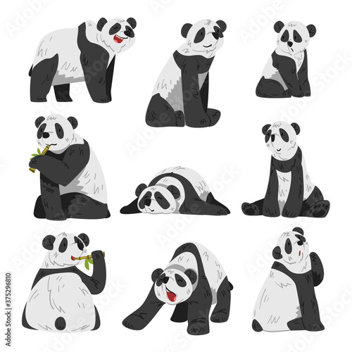 Cute Funny Panda Bear, Adorable Wild Animals in Various Poses Cartoon Style Vector Illustration on White Background