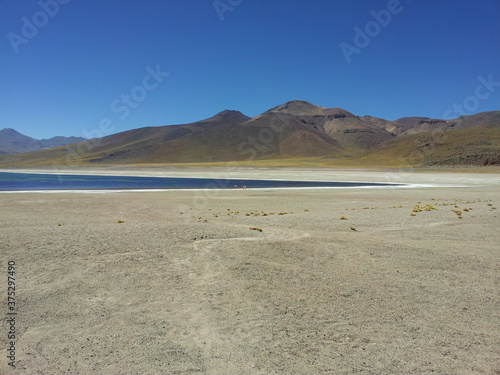Monique lagoon and volcano in Atacama desert, Chile photo