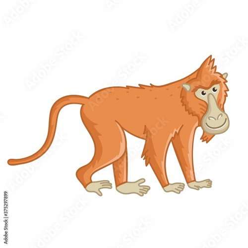 Baboon monkey. Isolated wild brown ape with tail. Cute primate mammal cartoon character icon. Vector wildlife exotic baboon monkey animal