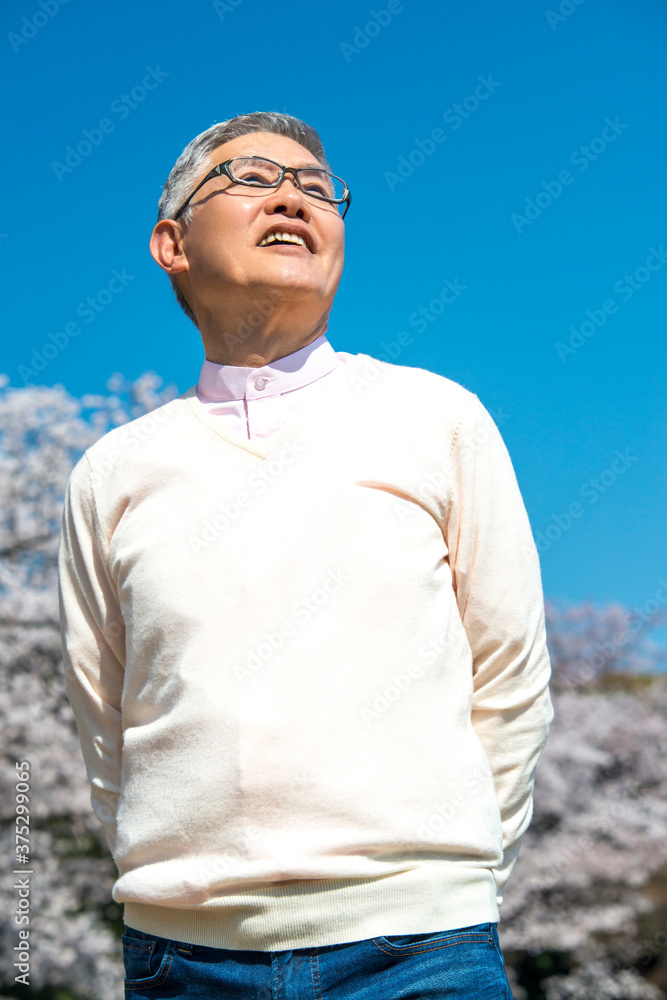 桜とシニア男性 桜とシニア男性