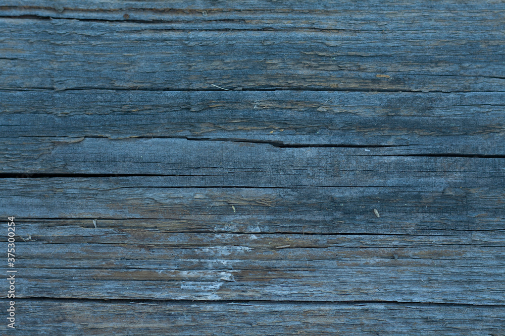 Naklejka premium Natural wood background, gray color. Wood texture.